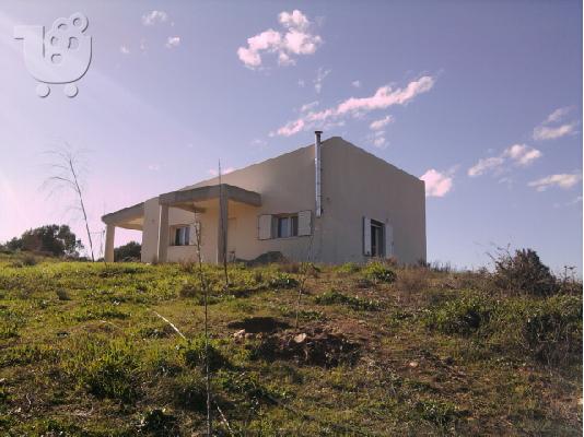 PoulaTo: 15 στρεμματα