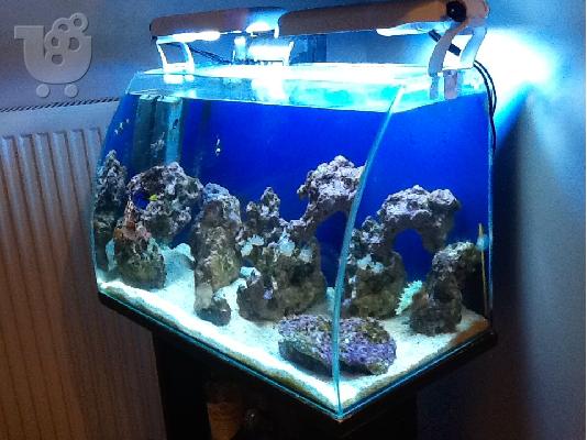 OPEN REEF 60lt
