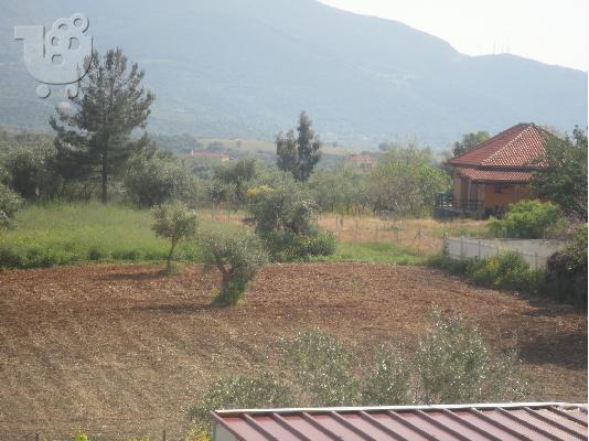 PoulaTo: ΠΩΛΗΣΗ ΟΙΚΟΠΕΔΟΥ ΚΥΠΑΡΙΣΣΙΑ ΜΕΣΣΗΝΙΑ