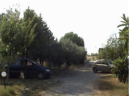 Ευκαιρια!!! μονοκατοικια σε 3000τμ οικοπεδο εξω απο την επανομη ...