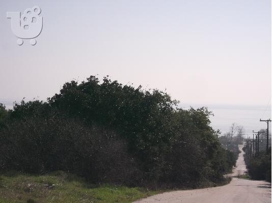 πωληση αγροτεμαχιου