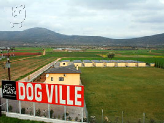 PoulaTo: DOGVILLE ΞΕΝΟΔΟΧΕΙΑ ΣΚΥΛΩΝ ΚΑΙ ΜΙΚΡΩΝ ΖΩΩΝ Μαστίφ