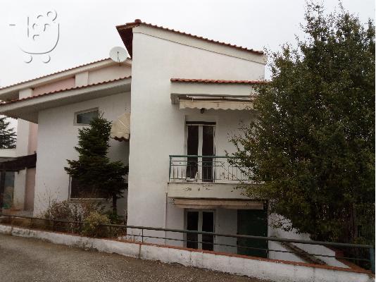 ΜΕΖΟΝΕΤΑ 150 Μ2 ΧΟΡΤΙΑΤΗΣ