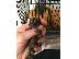 PoulaTo:  baby marmoset για 300 €
