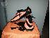 PoulaTo: nike hypervenom phantom fg