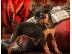 PoulaTo: Pinscher mini