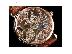 PoulaTo: VACHERON CONSTANTIN LE CABINOTIERS MINUTE REPEATER