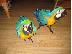 PoulaTo: Scarlet παπαγάλος macaw για 200 ευρώ