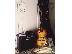 PoulaTo: HARLEY BENTON BASS SET