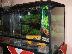 PoulaTo: terrarium guala gia iguana 150 litron PROSFORA