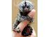 PoulaTo: baby marmoset για 300 €