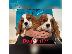 PoulaTo: Cavalier king Charles