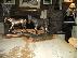 PoulaTo: Appaloosa Horses for Adoption