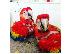 PoulaTo: κόκκινο παπαγάλο macaw για 199 €