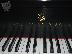 PoulaTo: STEINWAY B 7 