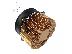 PoulaTo: Gridseed 300-350Kh/s