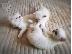 PoulaTo: Έχουμε ένα εντυπωσιακό αρσενικό Birman Kitten