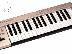PoulaTo: roland ed pc-160a