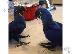 PoulaTo: Beautiful Hycinth  macaw parrot