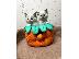 PoulaTo: TICA Εγγεγραμμένα Ragdoll Kittens Έτοιμα