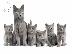 PoulaTo: Russian blue kitten - Ρωσικό μπλε γατάκι