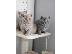 PoulaTo: male and female kittens