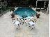 PoulaTo: Έπιπλα εξοχής Λειβαδιά 215 51 56 728 Garden furniture Leivadia Epipla Exohis Leivadia ΕΠΙΠ...