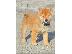 PoulaTo: Κουτάβια Shiba Inu