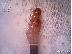 PoulaTo: fender telecaster