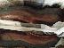 PoulaTo: ΚΑΙΝΟΥΡΓΙΑ TIMBERLAND No 46 (US Shoe Size 12)
