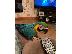 PoulaTo: Pozdrav, imam svoju papigu macaw