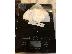 PoulaTo: MDMA crystal amphetamine MDPV Methadrone Methylone bk-mdma crystal 4MEC Crystal JWH-018 JW...