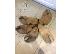 PoulaTo: Maltipoo Puppys