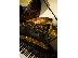 PoulaTo: Bechstein Μοντέλο C 7ft Parlor Grand Piano