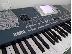 PoulaTo: Korg pa 500