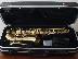 PoulaTo: Σαξόφωνο Trevor James Revolution II, alto, gold mat