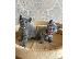 PoulaTo: Εγγεγραμμένα Russian Blue Kittens