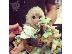 PoulaTo: Capuchin Monkeys Διαθέσιμο     180 €
