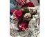 PoulaTo: Cute Capuchin Monkeys for Sale