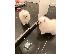 PoulaTo: Boo Mini Pomeranian