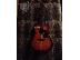 PoulaTo: FENDER acoustic guitar