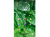 PoulaTo: Lg G2