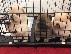 PoulaTo: Αξιολάτρευτο αρσενικό και θηλυκό chow chow Chow Puppies για υιοθεσία...