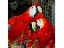 PoulaTo: scarlet παπαγάλοι macaw για 200 ευρώ