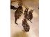 PoulaTo: BENGAL Kittens Διαθέσιμο.