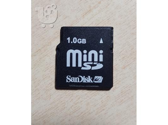PoulaTo: MiniSD Card SanDisk 1GB SDSDM-1024