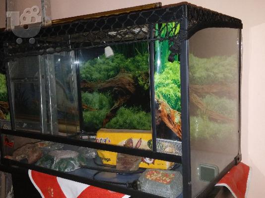 PoulaTo: terrarium guala gia iguana 150 litron PROSFORA