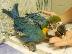 PoulaTo: beautiful pair of blue and gold macaw parrots
